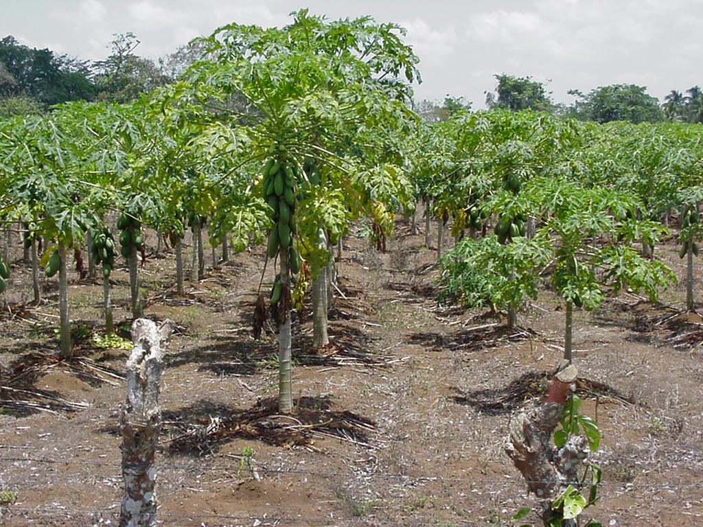 Costa Rica Project Photo